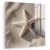Strand - Zeester - Zand - Beige plexiglas 5mm klein -zzzproduct_nieuw