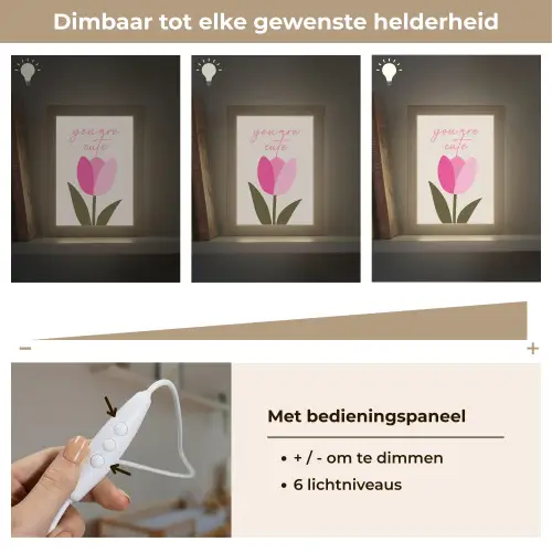 Tulp - Roze - Valentijn - Bloem Light Box met kabel (Wandlamp) klein -USP_dimbaarNL
