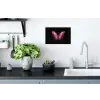 Vlinder - Fuchsia - Grafisch Muursticker klein -keuken