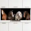 Paard - Dieren - Zwart keuken achterwand 2 middel -3d