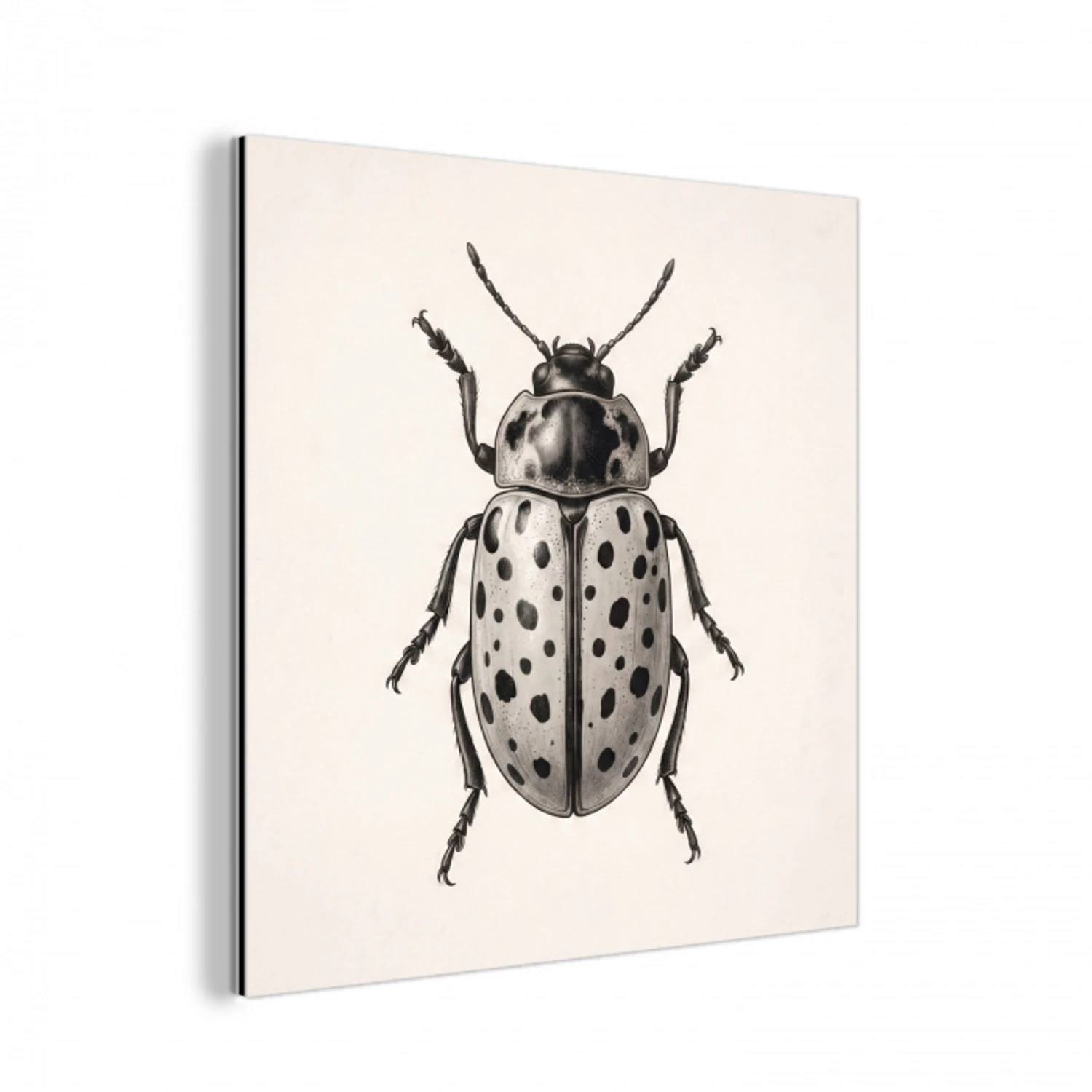 Kever - Insect - Vintage aluminium wit klein -3d