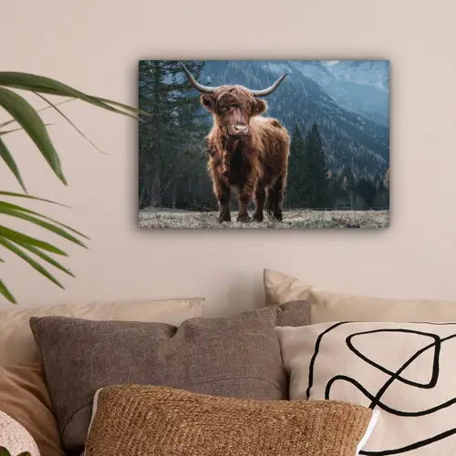 Schotse hooglander - Berg - Landschap - Bomen - Koe - Natuur canvas 2cm klein -sfeer1