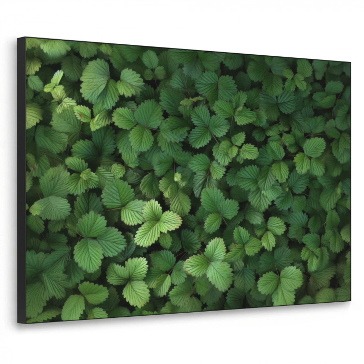 Groen - Bladeren - Kartel - Zonlicht Textielframe zwart klein -3d