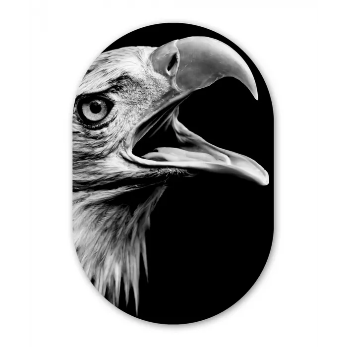Adelaar - Portret - Roofvogels - Zwart - Wit - Vogel Wandcirkel Ovaal Forex klein -3d