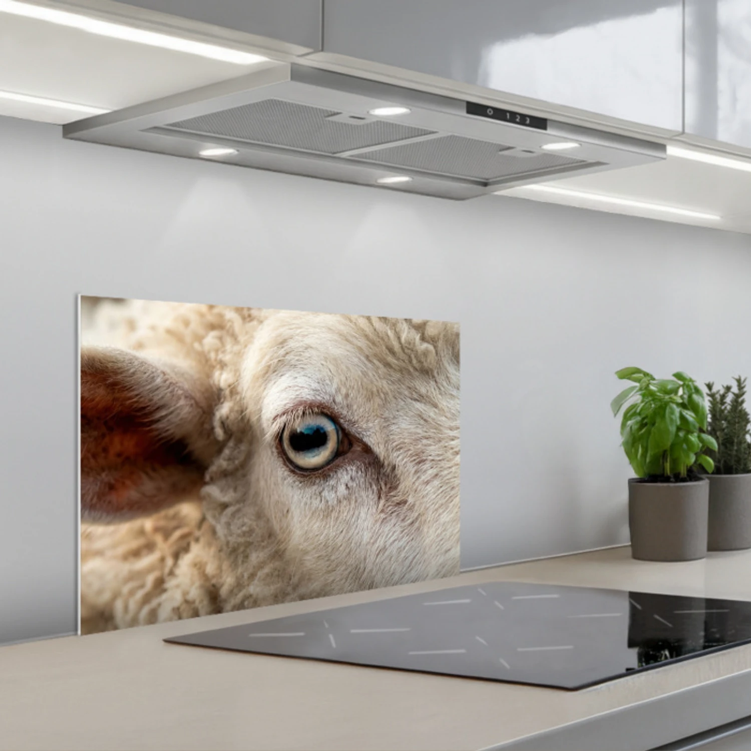 Schaap - Oog - Wit keuken achterwand spatscherm klein -3d_schuin