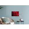Rood - Roos - Romantisch Muursticker klein -plant
