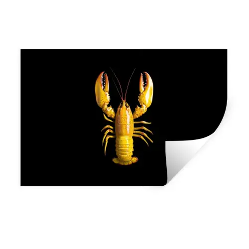 Kreeft - Geel - Stippen - Effen Muursticker klein -3d