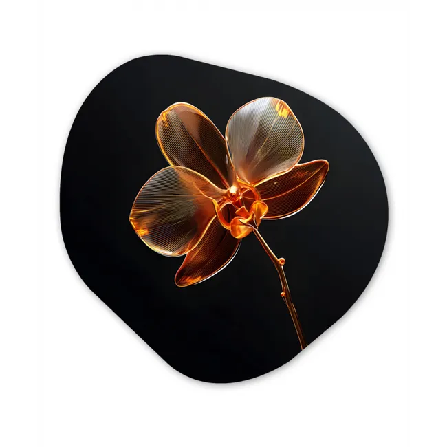 Orchidee - Doorzichtig - Bloem Wandcirkel Organisch Plexiglas middel -3d