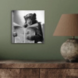 Chimpansee - Aap - Krant - WC - Humor aluminium wit klein -sfeer2