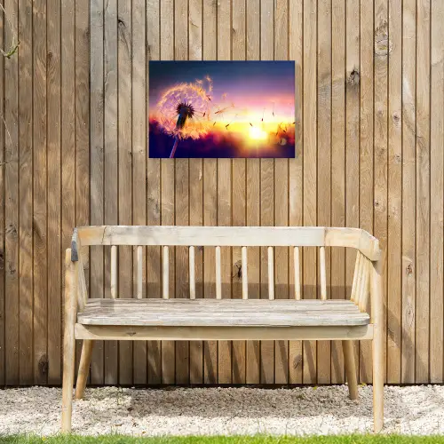 Paardenbloem - Bloemen - Zonsondergang - Horizon - Nacht Tuinposter op houten frame 2 cm dik klein -sfeer4