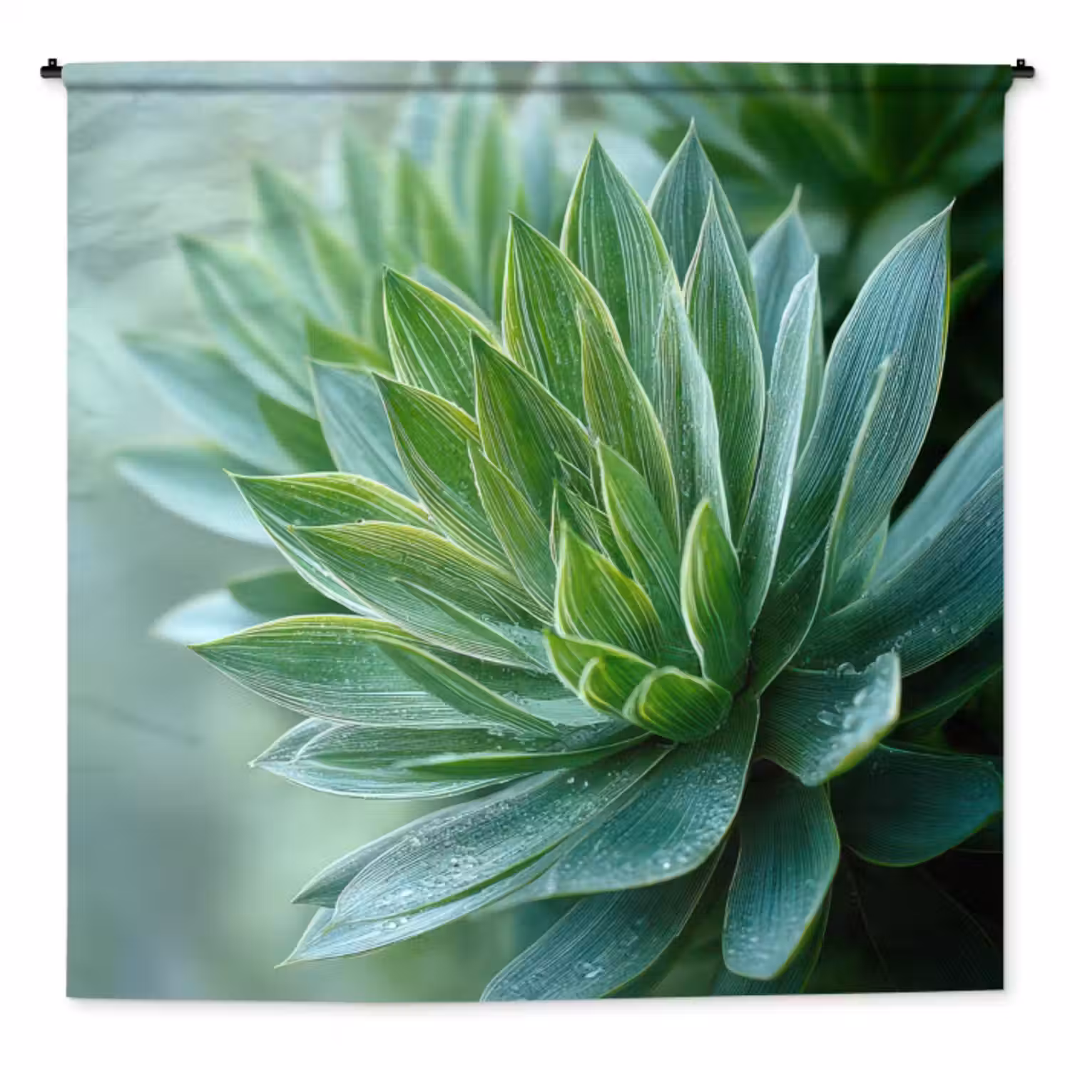 Wandkleed - Blad - Plant - Groen - Textuur
