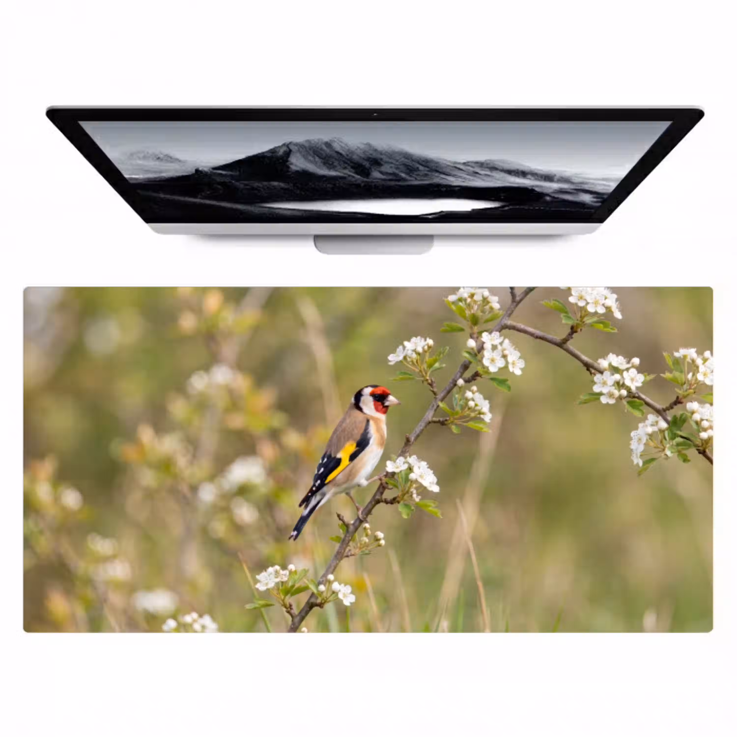 Putter - Bloesem - Lente - Natuur - Kleurrijk Muismat XXL klein -zzz3d