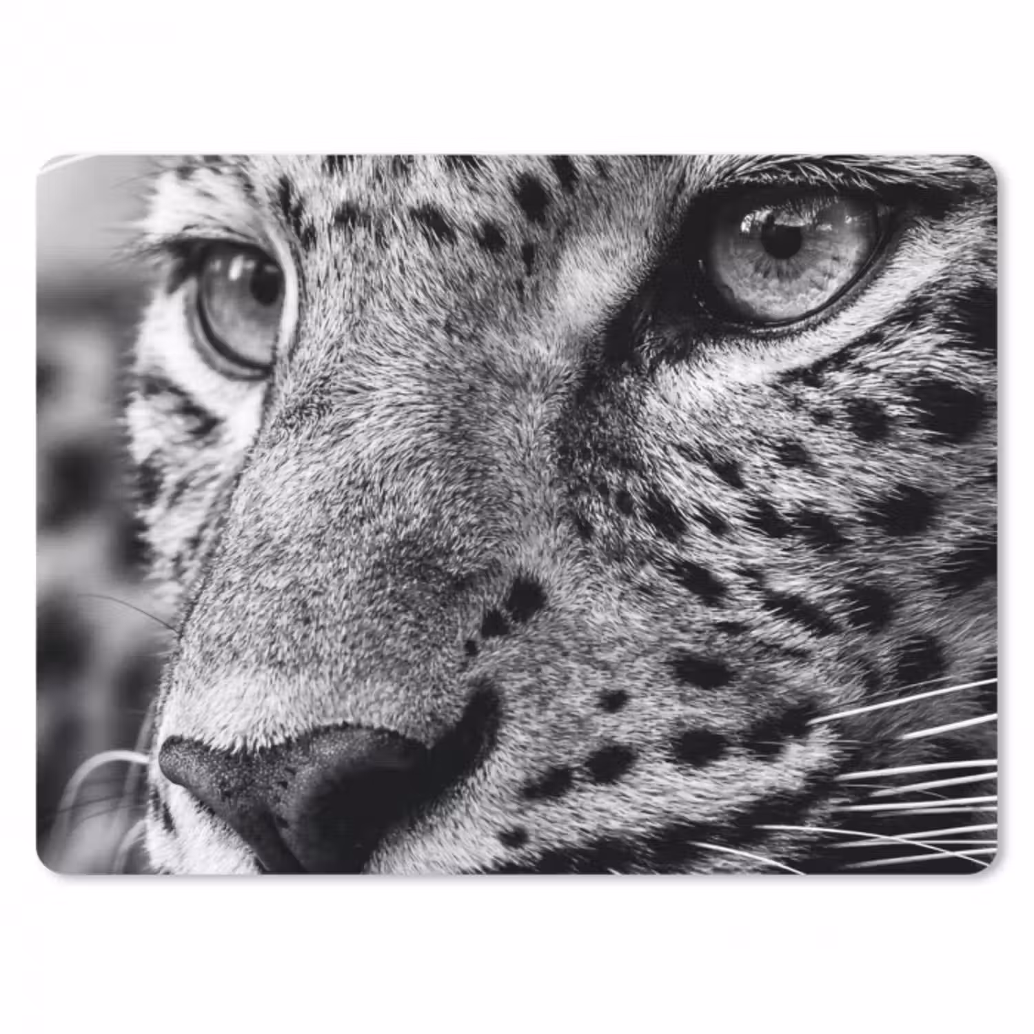 Mauspad - Leopard - Schwarz - Weiß - Auge