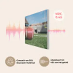 Football - Veld - Stadion - Sport PET vilt klein -USP_NL