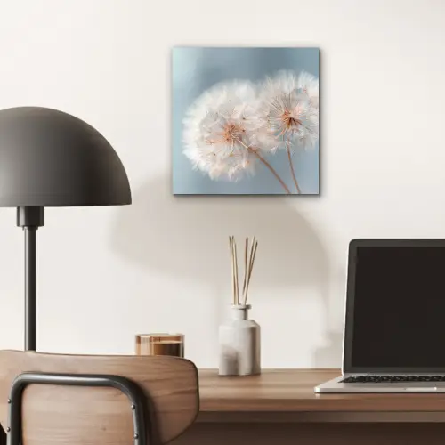 Paardenbloemen - Pluisjes - Wit aluminium wit klein -sfeer5