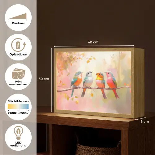Vogels - Kleurrijk - Tak Light Box met batterij (Wandlamp) middel -USP_websiteoverzichtNL