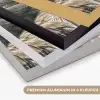 Gebouw - Palmbomen - Beige - Zon Textielframe zwart klein -USP_kleurenNL