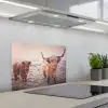 Schotse Hooglanders - Sneeuw - Zon keuken achterwand spatscherm klein -3d_schuin