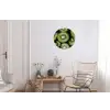 Kiwi - Fruit - Groen Wandcirkel aluminium klein -woonkamer