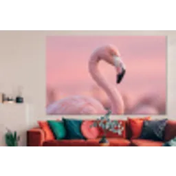 Flamingo - Portret - Roze forex 5mm xxl -woonkamer