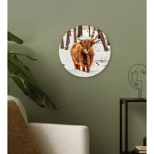 Schotse Hooglander - Sneeuw - Winter - Natuur - Dieren Wandcirkel kunststof plaat 5mm dik klein -sfeer3