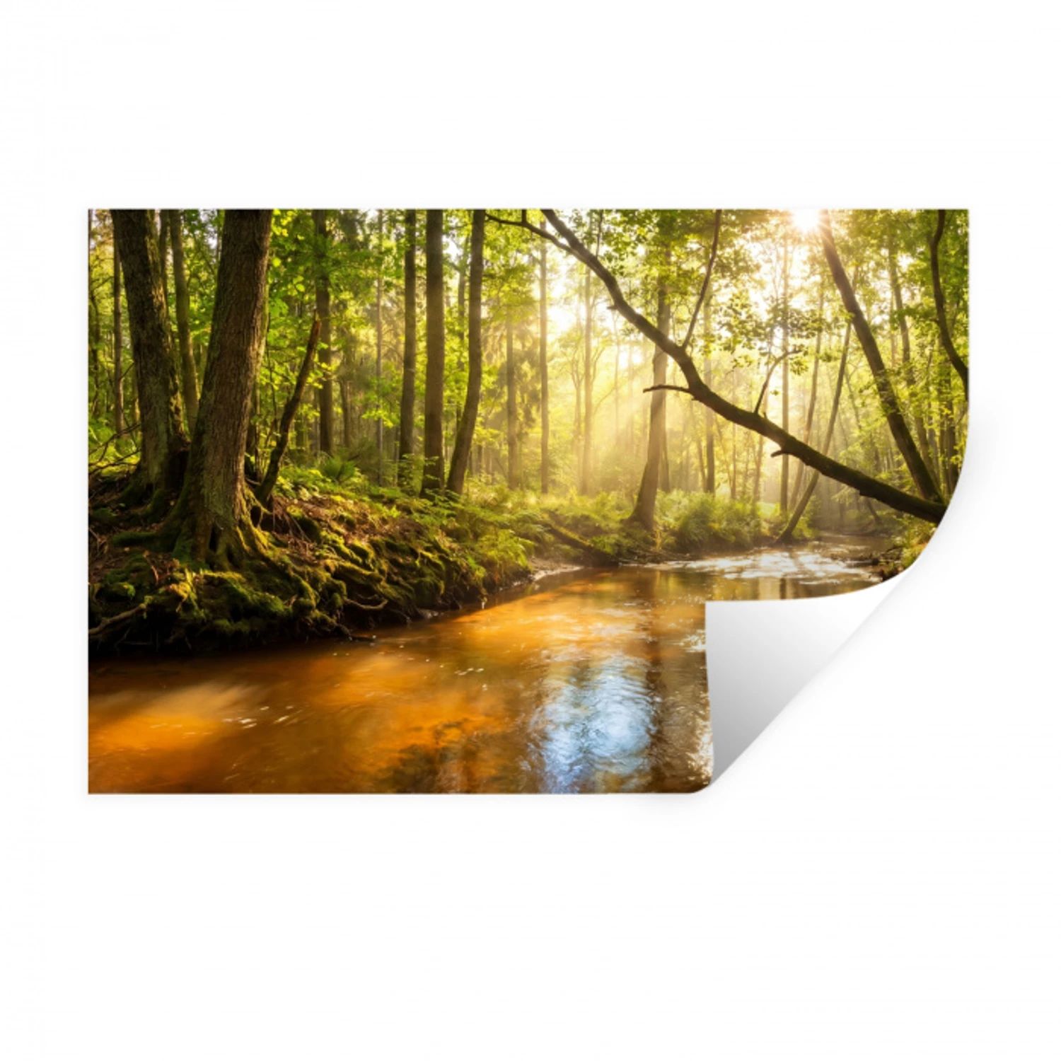 Bos - Beek - Zonlicht - Natuur - Groen Muursticker klein -3d