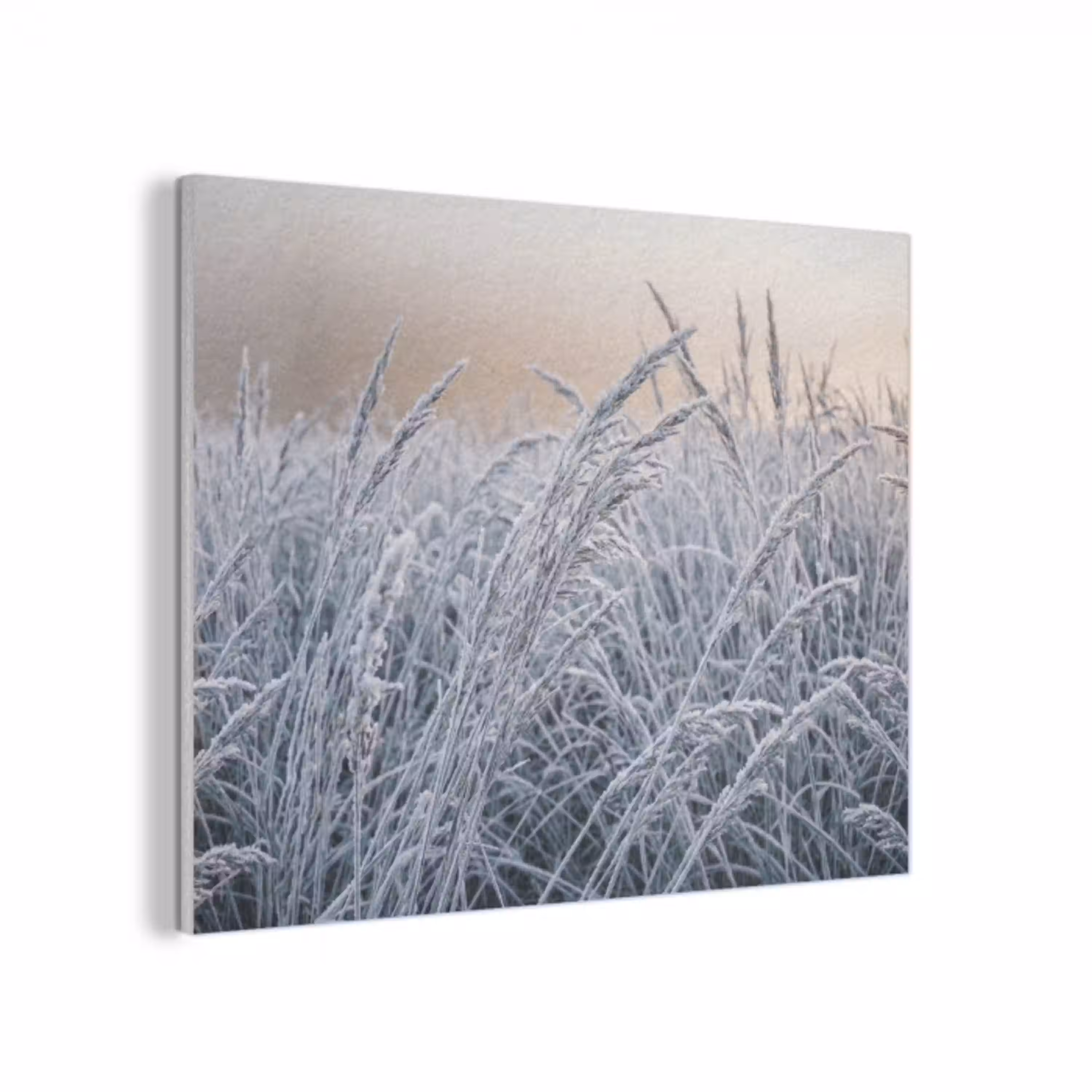 Rijp - Gras - Kristallen - Winter - Minimalistisch PET vilt klein -3d