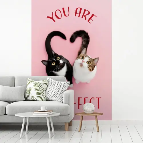 Kat - Hart - Tekst - Valentijn fotobehang vinyl groot -woonkamer