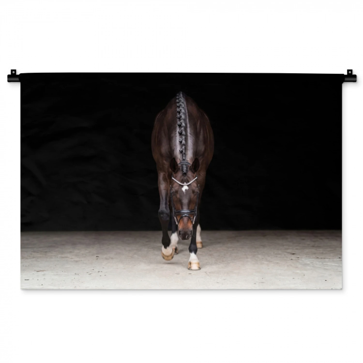 Paard - Modern - Portret Wandkleed katoen middel -zz3d