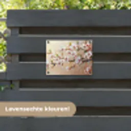 Bloesemtakken - Schilderachtig - Roze tuinposter los doek klein -sfeer3