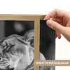 Leeuwen - Dieren - Zwart - Wit - Leeuw Light Box met batterij (Wandlamp) middel -USP_websiteprintNL