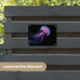 Kwal - Doorzichtig - Roze - Tentakels tuinposter los doek klein -sfeer3