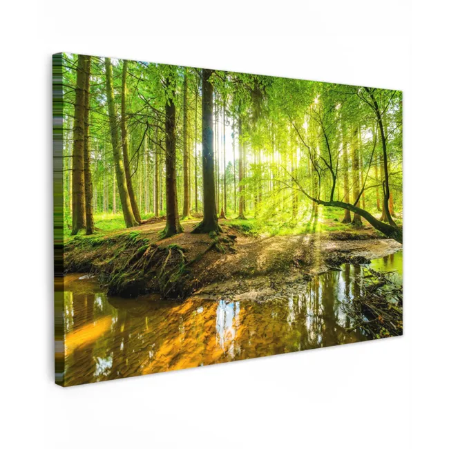 Outdoor Canvas Print - Sunbeams in a green forest