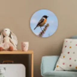 Roodborsttapuit - Heide - Paars - Natuur - Sfeervol Wandcirkel kunststof plaat 5mm dik klein -tsfeer1_kind