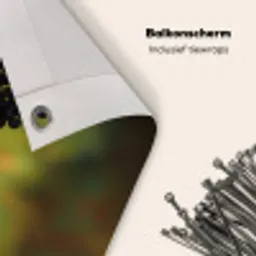 Druiven - Wijn - Natuur - Groen Balkonbeschermer Duitsland klein -closeup_NL