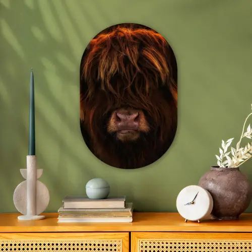 Schotse Hooglander - Koe - Portret - Dieren Wandcirkel Ovaal Forex klein -sfeer2