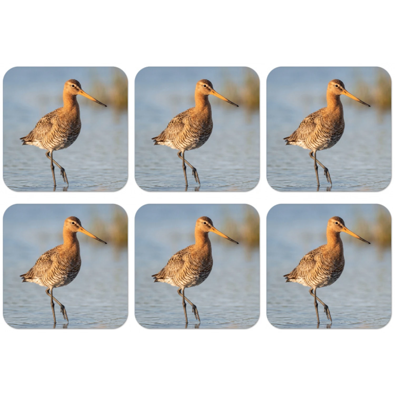 Vogel - Steltloper - Water - Natuur onderzetter kurk middel -zkaufland3dotto