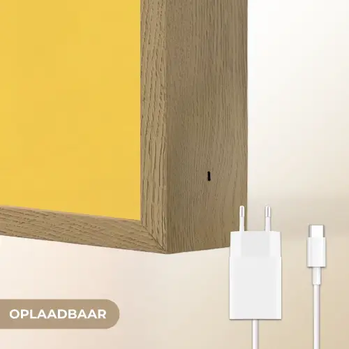 Eend - Zonnebril - Geel Light Box met batterij (Wandlamp) middel -USP_websiteoplaadbaarNL
