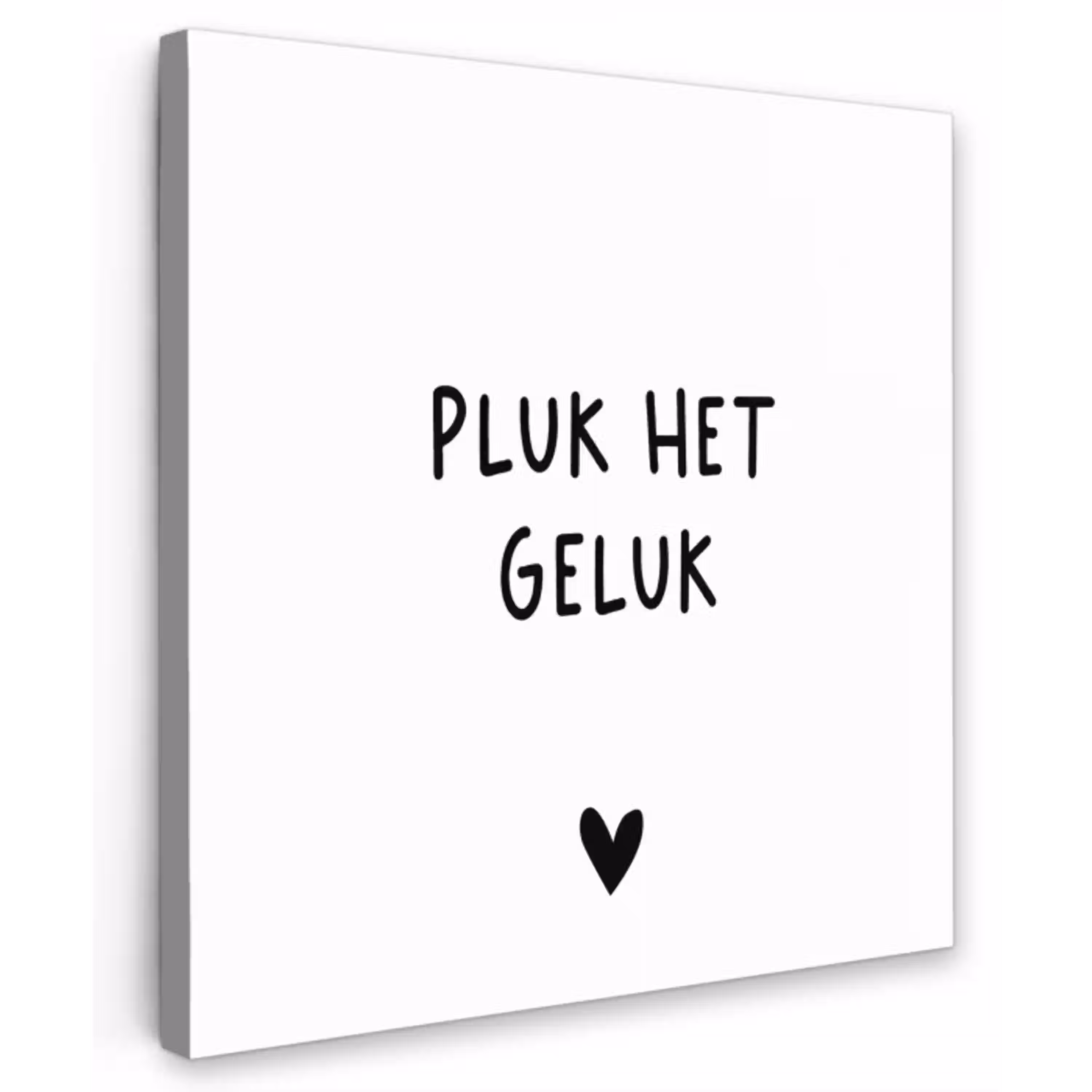 Quotes - Pluk het geluk - Spreuken Tuinposter op houten frame 2 cm dik klein -3d
