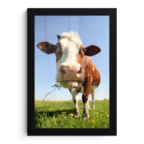 Koe - Dieren - Bloemen - Gras fotolijst zwart zonder passe partout klein -3d