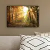 Bos - Herfst - Zon - Landschap - Natuur - Bomen - Bladeren canvas 2cm klein -sfeer3