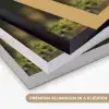 Eekhoorn - Nootje - Gras Textielframe zwart klein -USP_kleurenNL