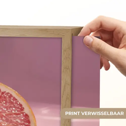 Grapefruit - Roze - Disco - Shiny Light Box met batterij (Wandlamp) middel -USP_websiteprintNL