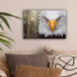 Amerikaans - Zeearend - Portret - Geel canvas 2cm klein -sfeer1