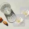 Bloem - Minimalistisch -Wit onderzetter kurk middel -sfeer4