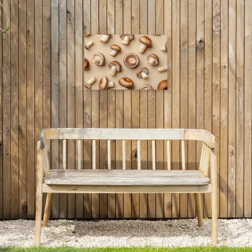 Kastanje Champignons - Beige Tuinposter op houten frame 2 cm dik klein -sfeer4