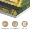 Bos - Zon - Bomen - Gras - Landschap  - Natuur PET vilt klein -closeup_NL
