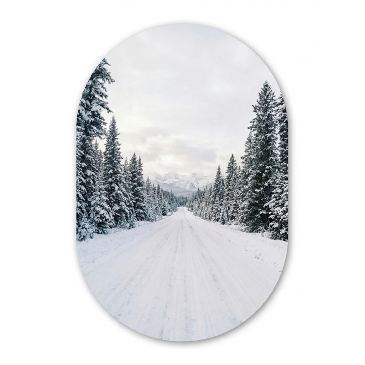 Weg - Sneeuw - Naaldbos - Winter - Avontuurlijk Wandcirkel Ovaal Forex klein -3d