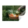 Veld - Groenten - Biologisch - Oogst Muursticker klein -3d