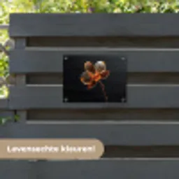 Orchidee - Doorzichtig - Bloem tuinposter los doek klein -sfeer3